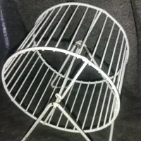 چرخ و فلک همستر