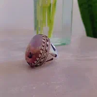 شجر قدیمی و کم یاب