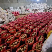 سیب زمینی جلی