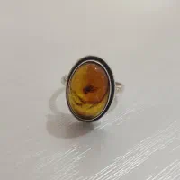 عتیقه کهربا با فسیل جانوران ماقبل تاریخ|کلکسیون اشیاء عتیقه|بوکان, |دیوار