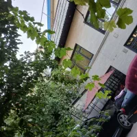 فروش خانه ویلایی ۲۰۰ متری ۵ خوابه|فروش خانه و ویلا|همدان, |دیوار