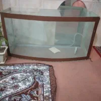 آکواریوم بزرگ شیشه ۶میل بادوام|ماهی|مراغه, |دیوار