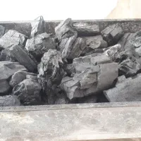 زغال درخت میوه