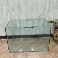 آکواریوم
