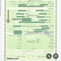 برگ سبز ماشین گم شده