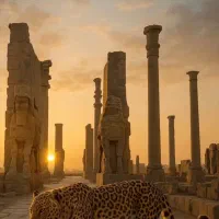 تور شیراز هوایی و زمینی