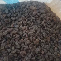 کشمش بی دانه