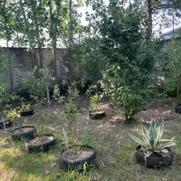 زمین مسکونی جاده انزلی۶۵۰ متری|فروش زمین و ملک کلنگی|رشت, انصاری|دیوار