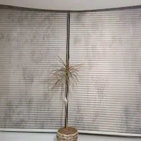 پرده زبرا پارچه ترک درجه یک نو