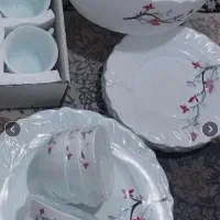 پلوپز سرویس المانی