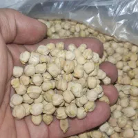 لوبیا ، نخود،  لپه ، عدس ، گندم|خوردنی و آشامیدنی|کرج, مصباح|دیوار