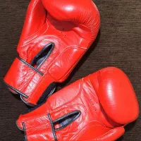 لوازم بوکس و موی تای|تجهیزات ورزشی|فردیس, داوری|دیوار