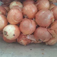 پیاز زرد بروجرد