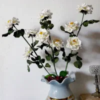 ۳شاخه گل سالم