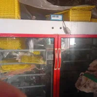 سلام خسته نباشید دستگاه جوجه کشی هماتعداد2016