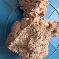 لوازم آکواریوم|ماهی|تهران, جوادیه تهرانپارس|دیوار