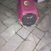 باکس سگ و گربه