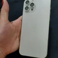 12 pro max