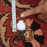 فرش دستباف قدیمی|فرش|شاهین‌شهر, شهرک گلدیس|دیوار