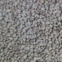 لوبیا چیتی|خوردنی و آشامیدنی|معمولان, |دیوار