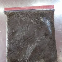 نیرو خانم مغازه سبزی خردکنی|استخدام بازاریابی و فروش|کاشان, قطب راوندی|دیوار