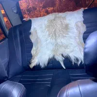 پراید هاچبک|خودرو سواری و وانت|قم, پردیسان|دیوار