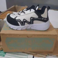 کفش به قیمت عمده|کیف، کفش، کمربند|برازجان, |دیوار