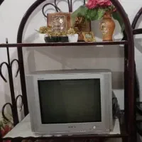تلویزیون