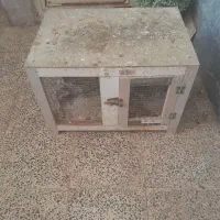 قفس پرنده