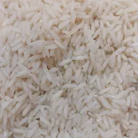 عرضه مستقیم برنج شمال