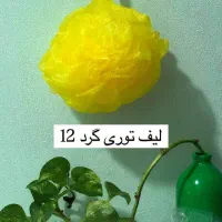 لیف و اسکاچ فروش عمده و تکی با بهترین کیفیت|لوازم نظافت|رباط‌کریم, رباط‌کریم|دیوار
