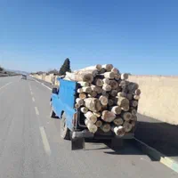 خریدار انواع چوب