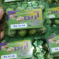 تخم مرغ ماشینی،تخم بلدرچین و تخم شتر مرغ آرین