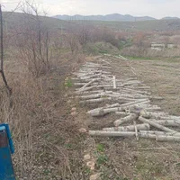 خرید انواع چوب