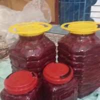 فروش عمده و جزئی زیتون شمال زیتون پرورده