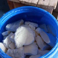 پنیر محلی گاوی پرچرب