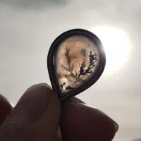 پلاک شجر اصلی|جواهرات|میبد, |دیوار