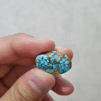 سنگ فیروزه ، شجر دریایی ، عقیق