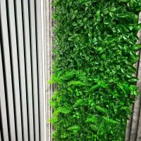 پخش چمن و گرین وال با قیمت درب کارخانه|مصالح و تجهیزات ساختمان|اهواز, کوی ملی راه|دیوار