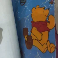 دو موکت زیبا و خیلی نو