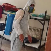 سمپاشی ساس سم پاشی سوسک موش با ضمانت کتبی|خدمات نظافت|کرج, ملارد|دیوار
