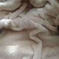 کاپشن بچه گانه پشمی کاملا نو|کفش و لباس بچه|اردبیل, |دیوار