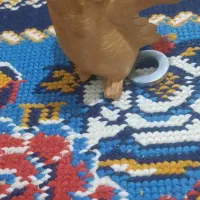 مجسمه دکوری چوبی