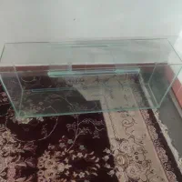 ماهی ولوازم