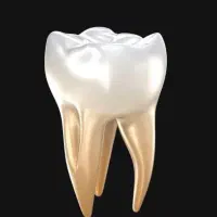 منشی و دستیار مطب دندانپزشکی