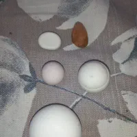 سنگ آسیاب وغیره...