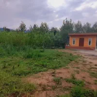 کلبه چوبی تک خواب|اجارهٔ کوتاهمدت ویلا و باغ|شاندرمن, |دیوار