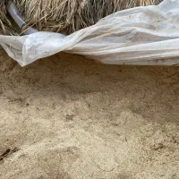 کاه خرمن|خدمات باغبانی و درختکاری|ارومیه, |دیوار