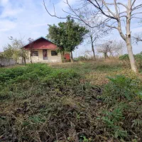 عمارت ۳،۴۶۱ متری/با چشم انداز شالیزار