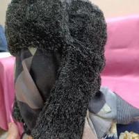 کلاه|لباس|سبزوار, امیر کبیر|دیوار